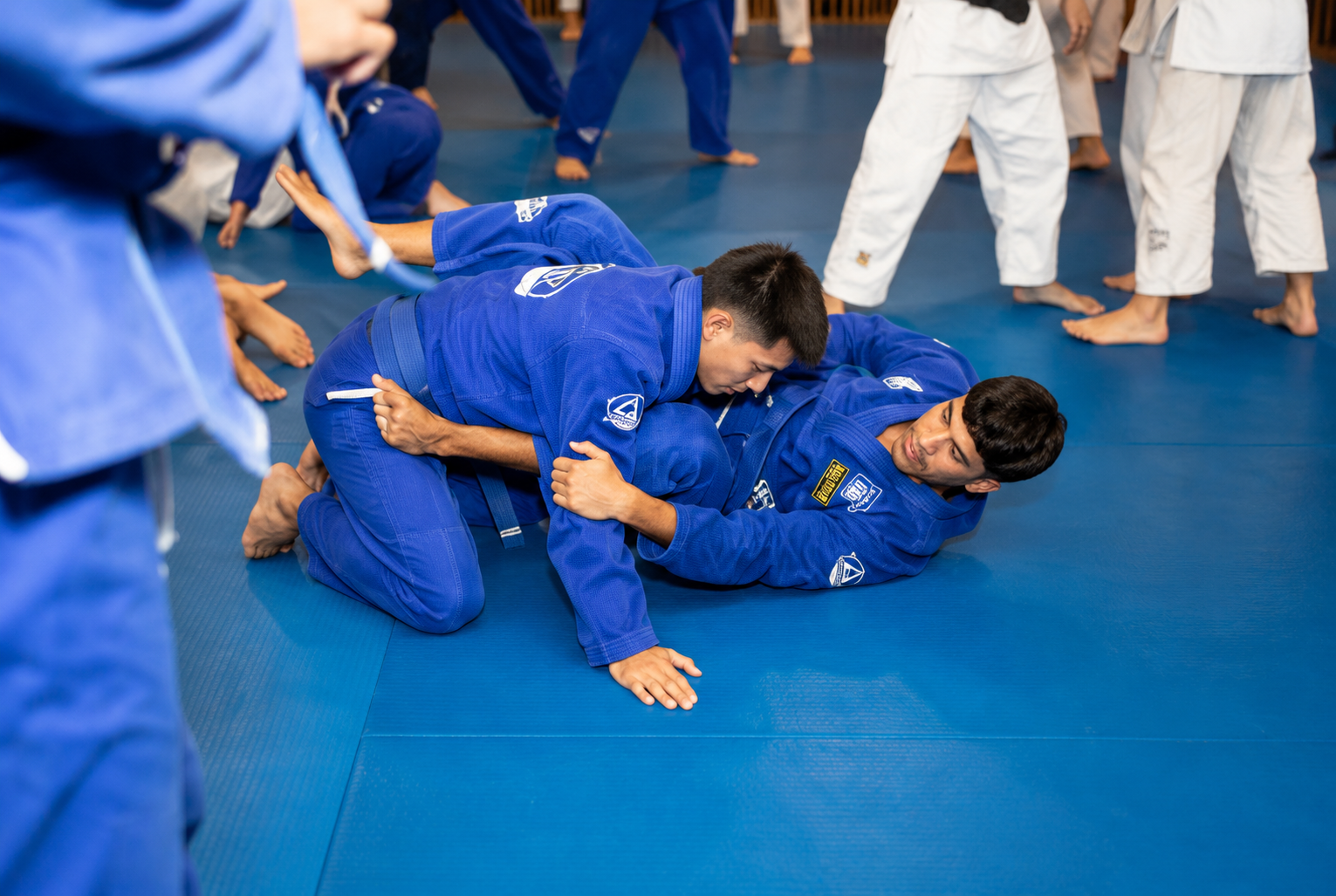 Students participating in Brazilian Jiu-Jitsu training in Fort Lauderdale, FL